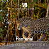 Brazil Destination Spotlight - Pantanal Brazil Destination Spotlight - Pantanal
