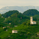 The origins of prosecco earn UNESCO recognition The origins of prosecco earn UNESCO recognition