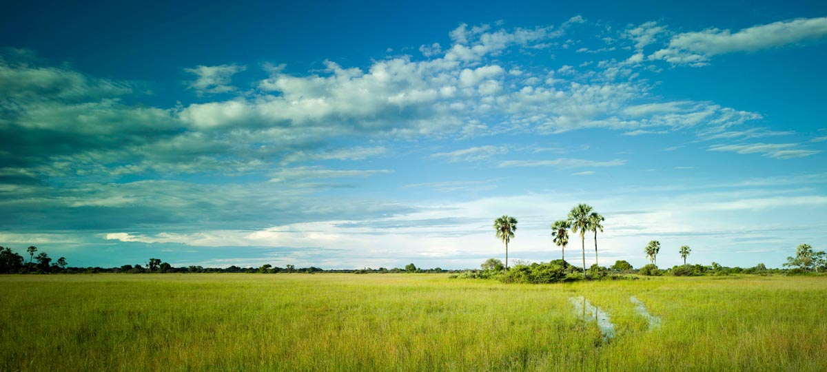 Botswana Botswana