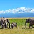 Kenya Travel Dreams – volume 4 Kenya Travel Dreams – volume 4