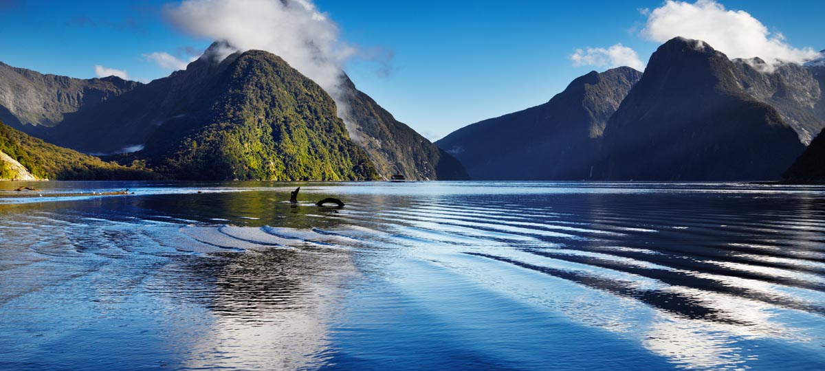 New Zealand New Zealand
