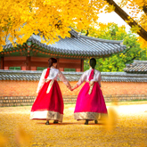 Discover South Korea Discover South Korea