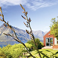 Romance and The Remarkables Romance and The Remarkables