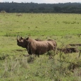 Kenya Travel Dreams - volume 5 Kenya Travel Dreams - volume 5