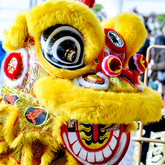 Hong Kong: The Lion Dances Tonight (舞獅) Hong Kong: The Lion Dances Tonight (舞獅)