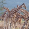A&K East Africa Instant Expert - French A&K East Africa Instant Expert - French