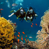Paradise Found on Palawan – Sun, Sand and Sea Paradise Found on Palawan – Sun, Sand and Sea