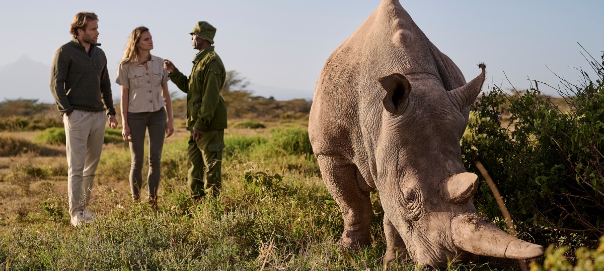 Sanctuary Kenya Specials Sanctuary Kenya Specials