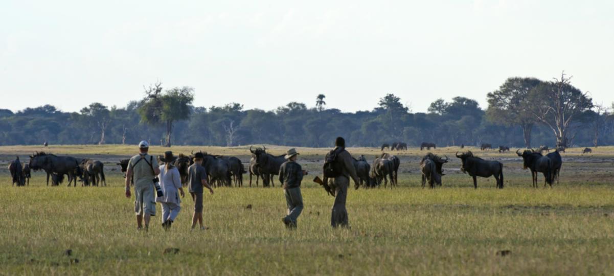 Take Me To Zimbabwe