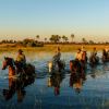 A&K Experience - East and Southern Africa - Walking & Horse Riding Safaris A&K Experience - East and Southern Africa - Walking & Horse Riding Safaris
