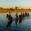 A&K East and Southern Africa - Walking & Horse Riding Safaris A&K East and Southern Africa - Walking & Horse Riding Safaris