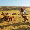 Australasia newsletter: December 2022 - Happy Holidays Australasia newsletter: December 2022 - Happy Holidays