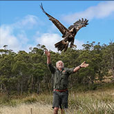 Explore our Insider Access Experiences Explore our Insider Access Experiences