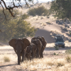 Classic Namibia - Overland - 2024 Classic Namibia - Overland - 2024