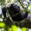 Best of Uganda - 2024 Best of Uganda - 2024