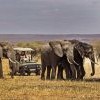 Best of Tanzania - 2024 Best of Tanzania - 2024