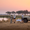 Quintessential Zambia - 2024 Quintessential Zambia - 2024