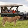 Exclusive Kenya - 2024 Exclusive Kenya - 2024