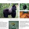 A&K East Africa Instant Expert - French A&K East Africa Instant Expert - French