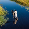 Classic Botswana - 2024 Classic Botswana - 2024