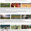 A&K Tanzania Calendar of Activities A&K Tanzania Calendar of Activities