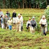 Gorilla Tracking Guidelines Gorilla Tracking Guidelines