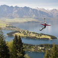 New Ziplining Tour in an Ancient New Zealand Forest New Ziplining Tour in an Ancient New Zealand Forest