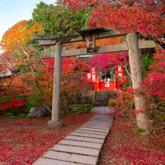 Three Activities to see Japan’s Autumn Colors Three Activities to see Japan’s Autumn Colors
