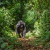 Best of Rwanda - 2024 Best of Rwanda - 2024